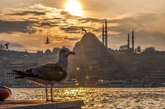  Πρόγραμμα παλιννόστησης.μήνυμα Ελπίδας για την Κωνσταντινούπολη: «Είμαστε λίγοι αλλά είμαστε αμέτρητοι»,