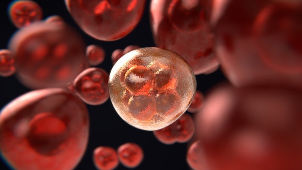 Eλπίδες από νέα μέθοδο κατά του καρκίνου: Επιστήμονες κατέστρεψαν το 99% των καρκινικών κυττάρων στο εργαστήριο χρησιμοποιώντας δονούμενα μόρια | Hellasjournal.com